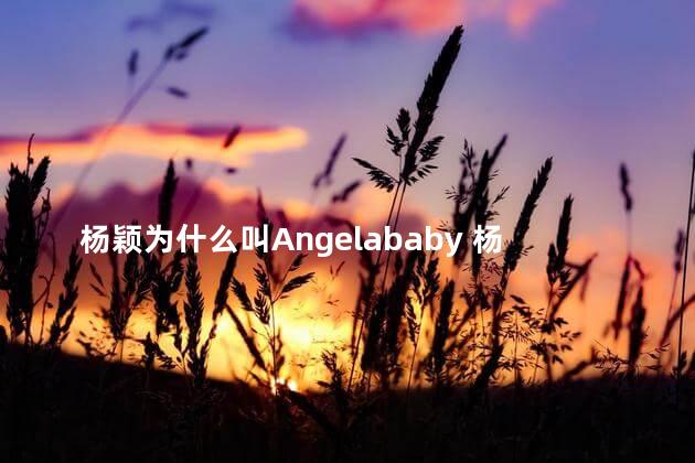 杨颖为什么叫Angelababy 杨颖叫Angelababy的原因
